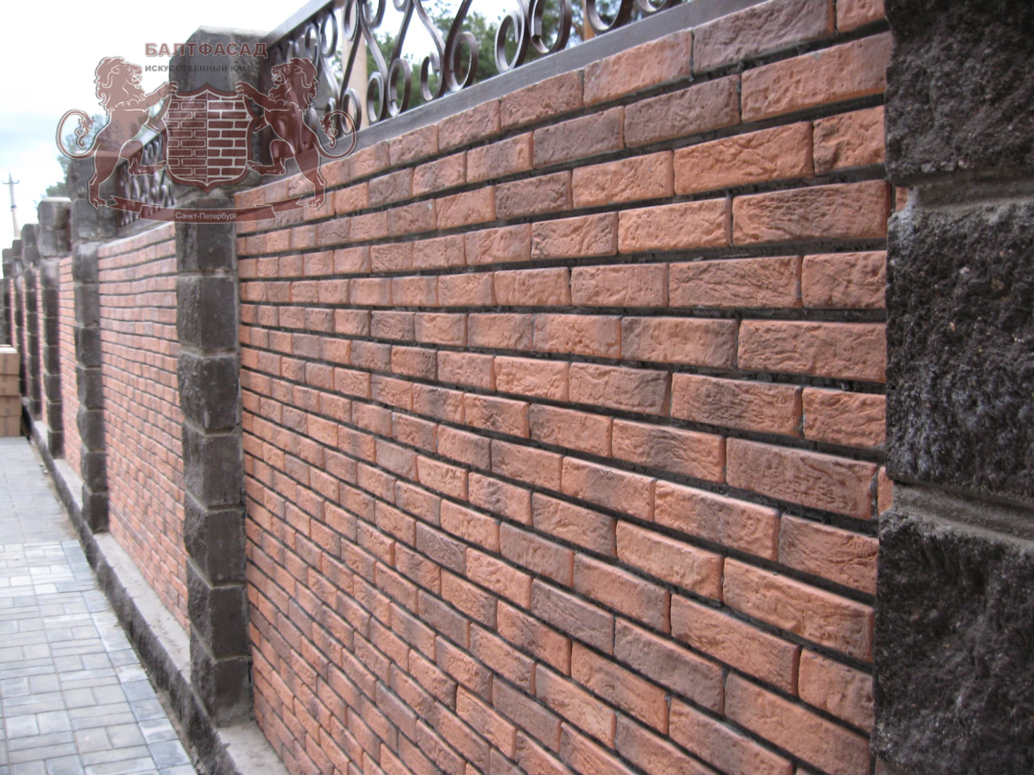 Терракот 010